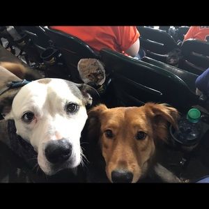 Meet your Posher, Bonnie